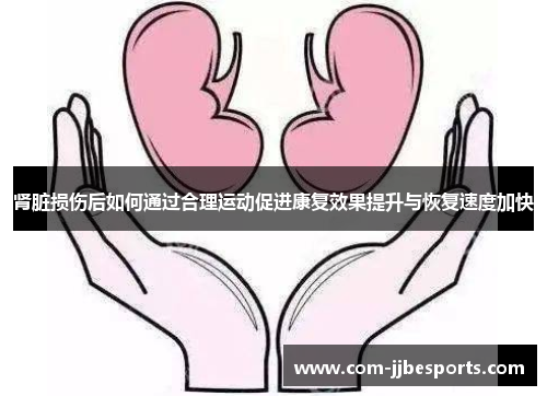 肾脏损伤后如何通过合理运动促进康复效果提升与恢复速度加快