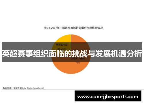 英超赛事组织面临的挑战与发展机遇分析